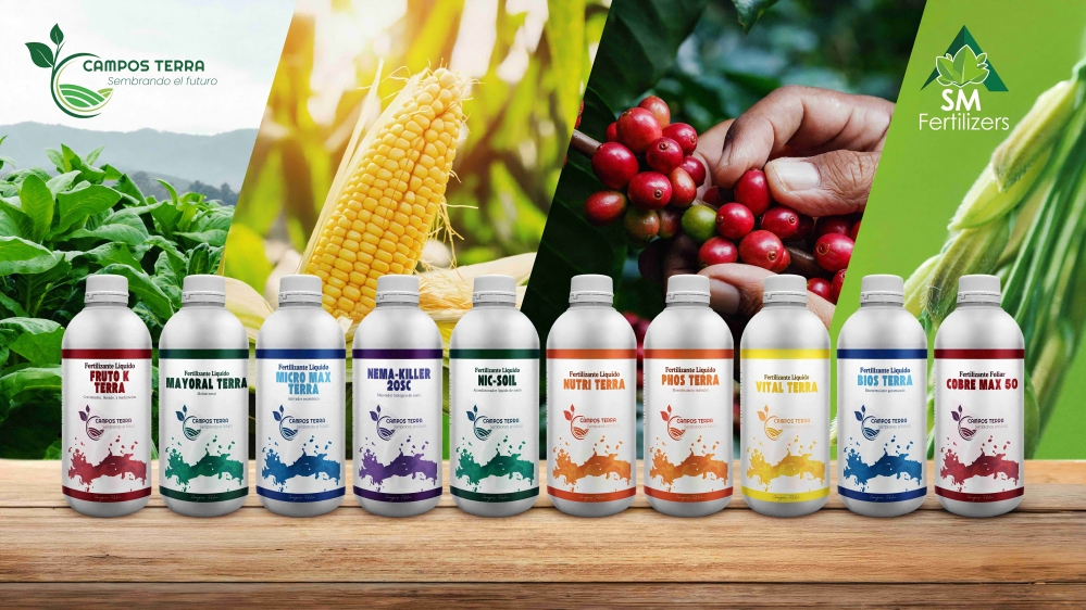 Visión de la empresa